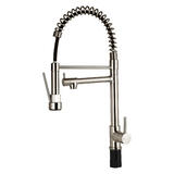 LIVINGbasics SN BA AQDO 01 Kitchen Fixtures Pull Double Head Faucet