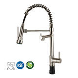 LIVINGbasics SN BA AQDO 01 Kitchen Fixtures Pull Double Head Faucet