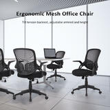 ergonomic office chair