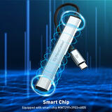 Smart Chip