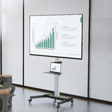 Mobile TV cart