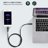 PC Cab 007 100W 2 02