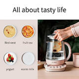 Electric Kettle 3