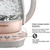 Electric Kettle 6