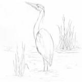 51B92NarxYL