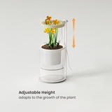 Height Adjustable Mini Indoor Gardening System HGS04 2CB  from china chinese   6 