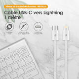 Cab 4018A 001 fr 01