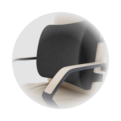 Back Supports and accessories