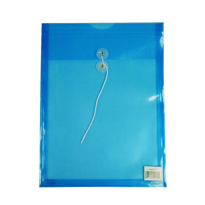 Geocan® Vertical Poly Envelope, 9-3/4" x 13-1/2'', String-Tie Closure, 1 Pack
