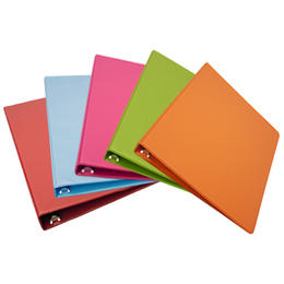 Geo Durable D-Ring Presentation Binder, Vinyl - Random Colours, 1''