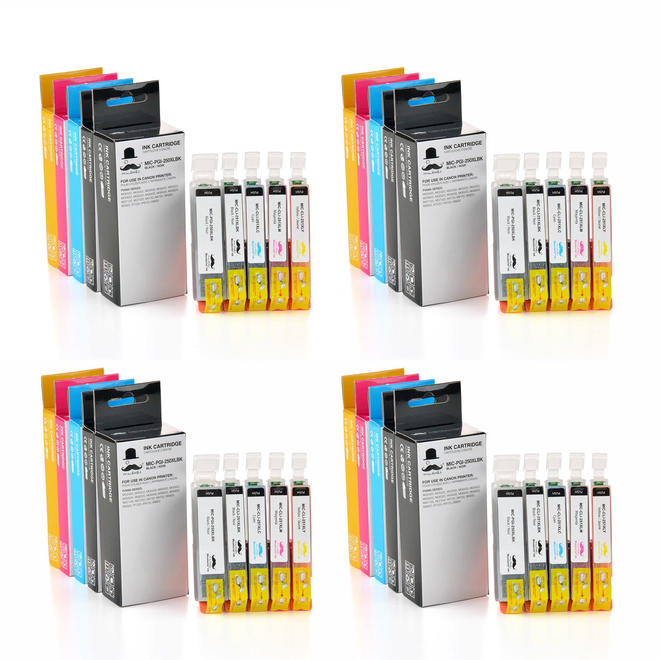 4-Evergreen PGI-250XL & CLI-251XL Ink Cartridge Combo Pack – For Canon Pixma MG6320, MG6420, IX6820, And More!
