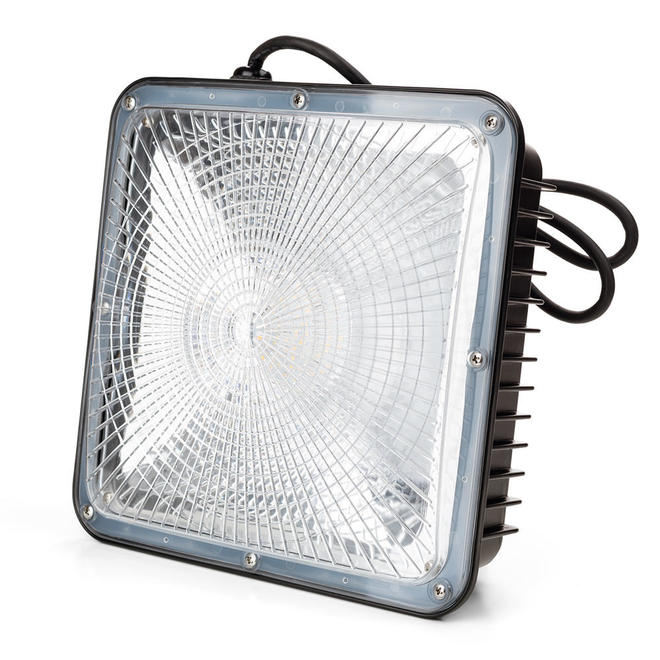Rayonled RO FL02 50WP Commercial Industrial LED Light LED 50W Panopy Light HPS HID Replacement 4000K UL cUL Listed