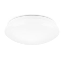 Rayonled RO 09 12W 30K All LED Lamp LED Ceiling Light
