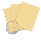 Domtar n 906 81012 Card Stock Domtar EarthChoice Multipurpose Coloured Paper 11 x 17 20lb 500 Pack