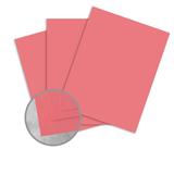 Domtar n 906 81012 Card Stock Domtar EarthChoice Multipurpose Coloured Paper 11 x 17 20lb 500 Pack