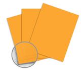 Domtar n 906 81012 Card Stock Domtar EarthChoice Multipurpose Coloured Paper 11 x 17 20lb 500 Pack