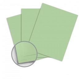 Domtar n 906 81012 Card Stock Domtar EarthChoice Multipurpose Coloured Paper 11 x 17 20lb 500 Pack