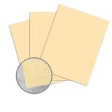Domtar n 906 81012 Card Stock Domtar EarthChoice Multipurpose Coloured Paper 11 x 17 20lb 500 Pack