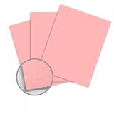 Domtar n 906 81012 Card Stock Domtar EarthChoice Multipurpose Coloured Paper 11 x 17 20lb 500 Pack