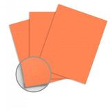 Domtar n 906 81012 Card Stock Domtar EarthChoice Multipurpose Coloured Paper 11 x 17 20lb 500 Pack