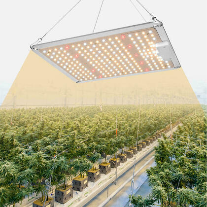 LED Grow Light with Samsung Chips & Mean Well Driver - LIVINGbasics®
