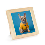 Other Brands WPF 0008 Frames 8 Inch Square Poster Frame for Decor