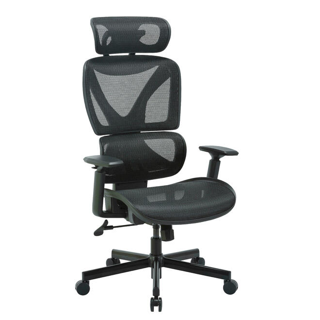 Ergonomic Mesh Office Chair with Auto-Balance Segmented Backrest