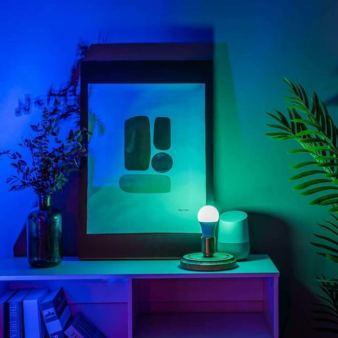 LIVINGbasics LVB 08291 LED Light Bulbs Smart Led Bulb WiFi Light Bulb Dimmable Multicolor A19 E26 LIVINGbasics