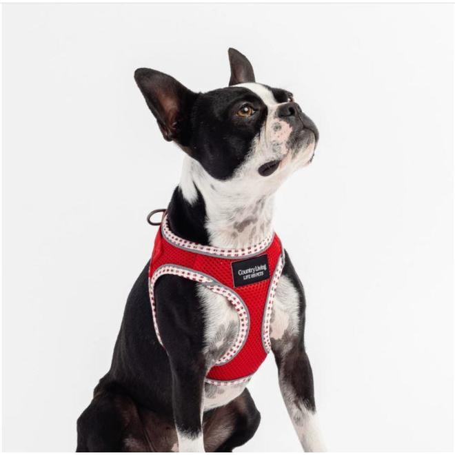 Silver Paw LVTH SP CONKC08958 All Silver Paw RED STEP IN HARNESS WITH PATENTED BUCKLE