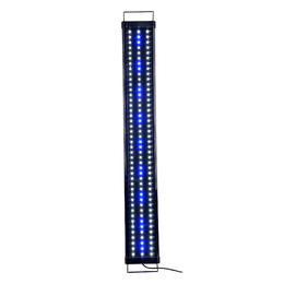 Blue and White LED Fish Aquarium Light with Extendable Brackets - LIVINGbasics® - L
