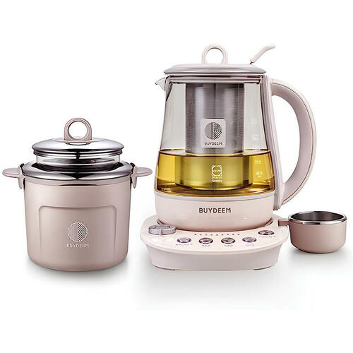 Electric Kettle