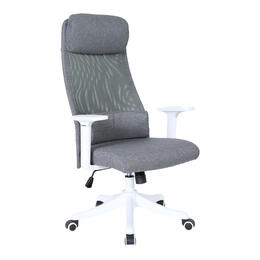 Computer Chair With Headrest & Lumbar Support Pillow for Home Office, Grey