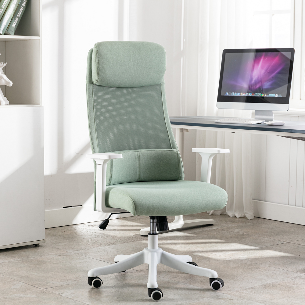 Ergonomic Computer Chair with Headrest & Lumbar Support Pillow