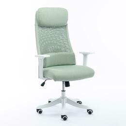 Computer Chair With Headrest & Lumbar Support Pillow for Home Office, Green
