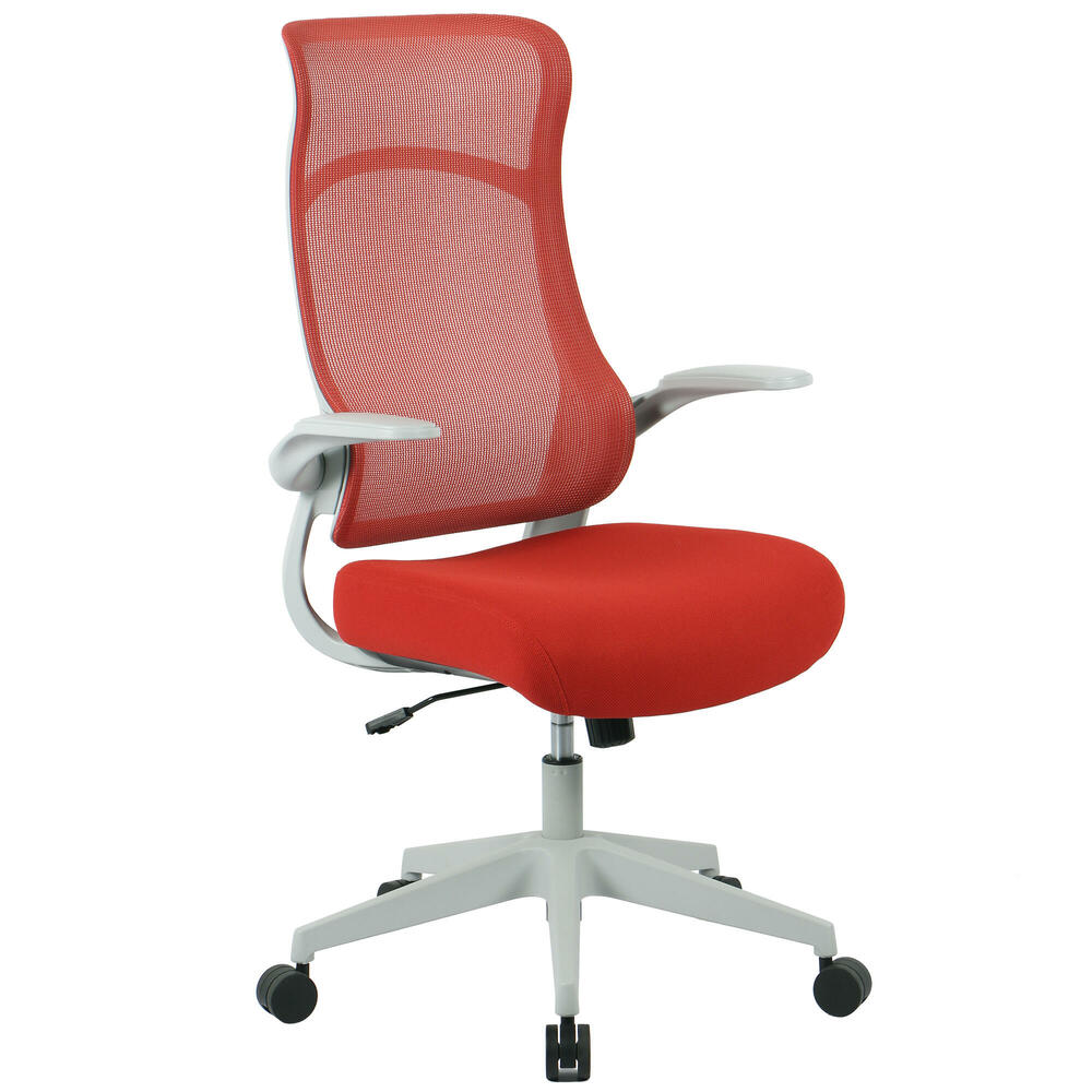 Chic Ergonomic HighBack Mesh Office Chair with Flip Up Arms, Black and