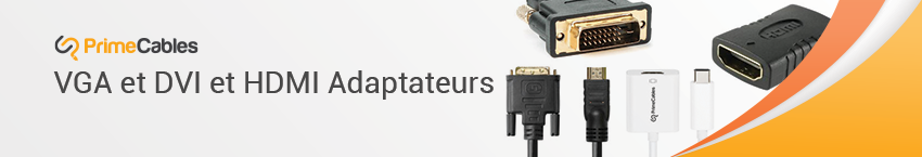 VGA DVI HDMI adaptateurs et convertisseurs Câbles