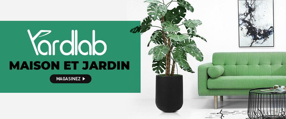 scene2176yardlab