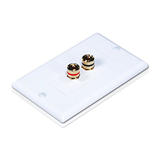 PrimeCables Cab 3324 Audio Video Wall Plates Banana Binding Post Two Piece Inset Wall Plate for 1 Speaker Coupler Type PrimeC