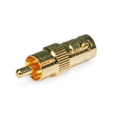 PrimeCables Cab 4127 Video Adapters BNC Female to RCA Male Adaptor Gold Plated PrimeCables