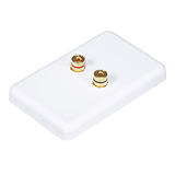 Monoprice Canada Cab 3639 Audio Video Wall Plates High Quality Banana Binding Post Wall Plate for 1 Speaker Coupler Type Mono