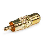 PrimeCables Cab 4130 Video Adapters RCA Male to F Type Female Adaptor Gold Plated PrimeCables