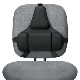 110 8037601 Professional Back Support