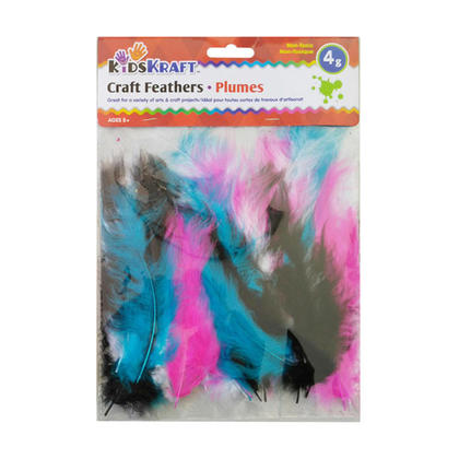4g Decor Feathers for DIY Craft Wedding Home Party Decorations, Assorted Colors