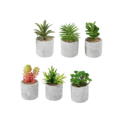 Decorative Plastic Artificial Succulent Plants in 3" Dia Round Concrete Pot, Random Style