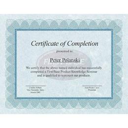 St James 437 83500 Certificates and Certificate Frames St James Certificates blue 100 pk