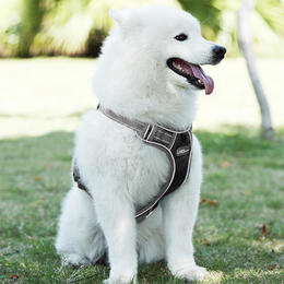 LIVINGbasics LB PB 08 M Pet Accessories Dog Harness No Pull Pet Harness Adjustable Outdoor Pet Vest 3M Reflective Oxford Mate