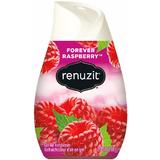 496 2113025 Air Fresheners Renuzit Adjustables Gel Air Freshener Raspberry