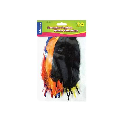 Selectum® Assorted Color Feathers, Decorative Medium Sizes, 20 / Pack (516443)