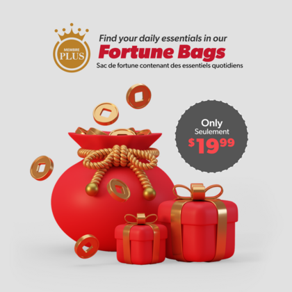 Fortune bag No.4 (daily essentials)