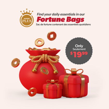 fortune bags No.3 (daily essentials)